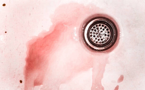 Shower drain, kill, murder, killer or horror cover