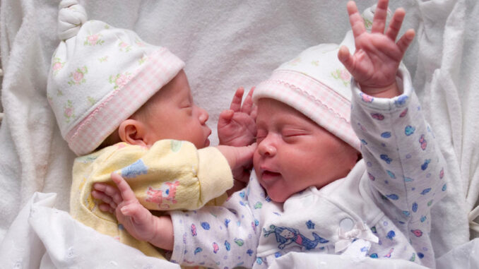 twins-678x381 (1)
